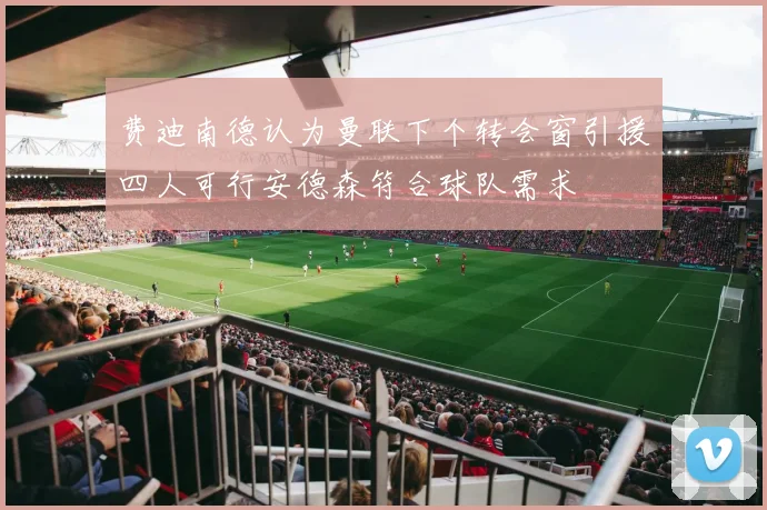 费迪南德认为曼联下个转会窗引援四人可行安德森符合球队需求